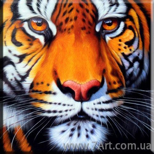 Картины Животных, Art. STUD151108